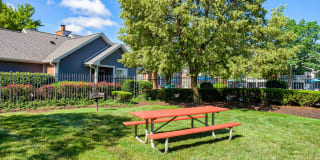 Lakeshore Apartments Gallery 52