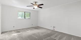 221 Azalea Lane Gallery 22