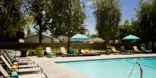 The Artisan Claremont Gallery 29