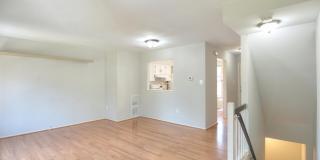 3 BIRDSEYE Court Gallery 11