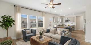 Skymor Panola Gallery 26