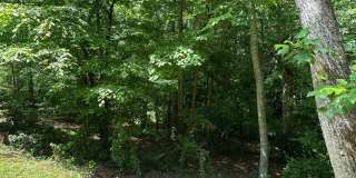 Available now,  3/2 with large unfinished basement, in University Heights Gallery 41
