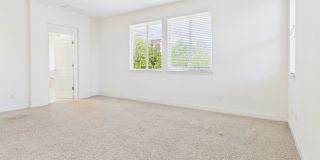Solar Home Spacious 5-Bedroom in Blackstone with Resort Style Amenities Gallery 17