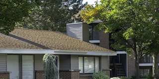 Peaks on Redwood Gallery 2