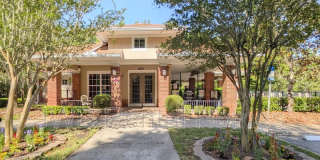 8428 Thornbush Ct Gallery 16