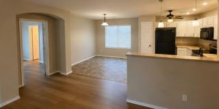 Spacious 4 Bed / 2 Bath Home in Florence – 6829 E San Tan Way Gallery 19