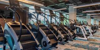 The Village Westside Gallery 17