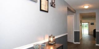 3554 SHINER Drive Gallery 4