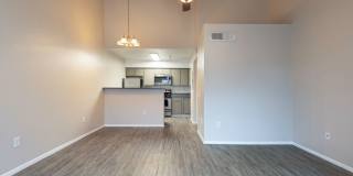 Lion Tempe Gallery 9