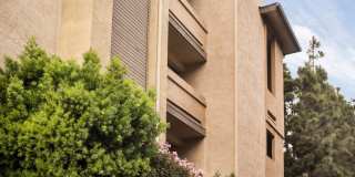 Elan View Pointe Gallery 8