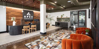 Apex Marathon Gallery 11