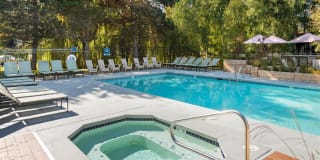 Lighthouse Apartments Gallery 11