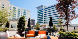 The Cosmopolitan Apartments Gallery 5