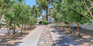 Tides on McDowell Gallery 12