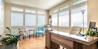 Olympus at The District Gallery 26