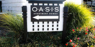 Oasis Gallery 42