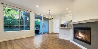 365 Chaumont Gallery 1