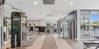 Continuum Gallery 20