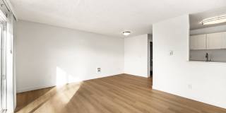 Driftwood Gallery 26