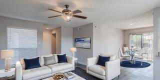 Serena Vista Gallery 1