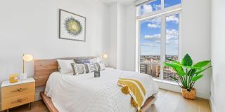 Park Fifth Gallery 2