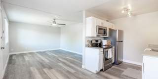 Rise at the Palms Gallery 19