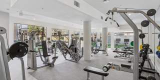 Dorian and Encore Gallery 12