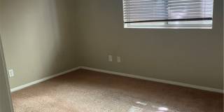 11456 Banyan Reef Street Gallery 15