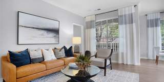 Piedmont at Ivy Meadows Gallery 5