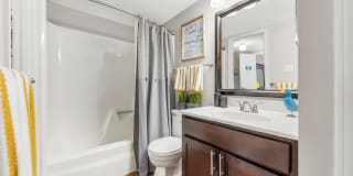 Whisper Hollow Gallery 5