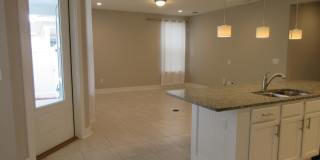 -- Gallery 5