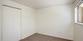 Sugar Pine Gallery 15