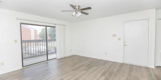 "Low Maintenance Living" In Prime Hampton Roads Area Gallery 7