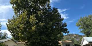 Three Bedroom House in Great Neighborhood! Gallery 1