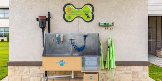 Atlas at Legacy2020 Gallery 14