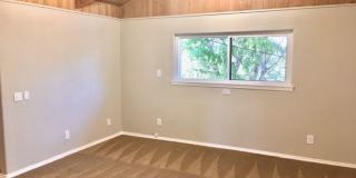 **AVAILABLE NOW** Gallery 13