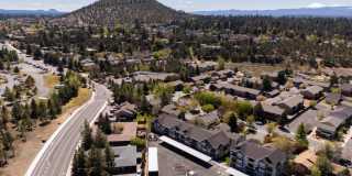 Red Hawk and Laurel Grey Gallery 1