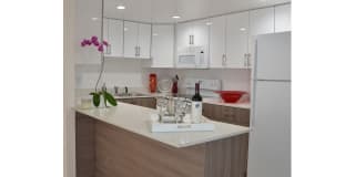 Pompano Palms Apartments Gallery 8