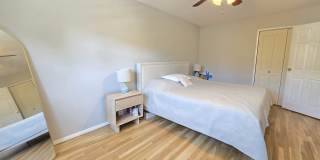 9 ELNA CT Gallery 31
