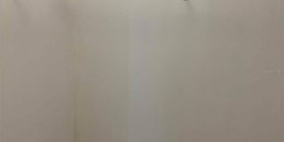 3284 RODRICK CIRCLE Gallery 8