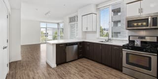 Parc on Powell Gallery 12