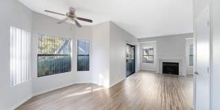 Bristle Pointe Gallery 17