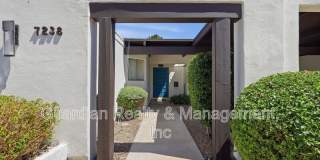 7238 E. Joshua Tree Ln. Gallery 4