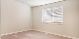 Modern 4bd 2.5ba in LSSD Gallery 12