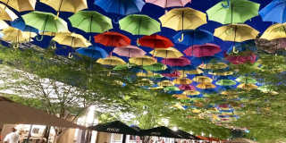 Windsor Ludlam Trail Gallery 37