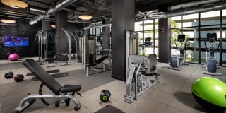 The Pearl Gallery 17