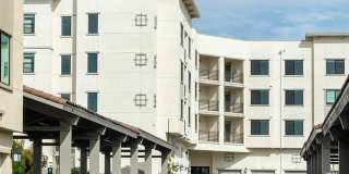 Altura at the Groves Gallery 9