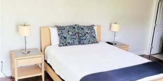 4039 Sandlewood Ln Gallery 3