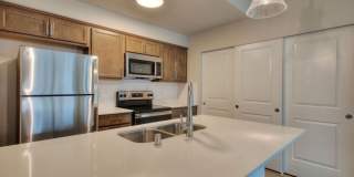 Alder Walk Gallery 14