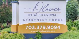 The Oliver in Alexandria Gallery 33
